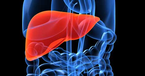 Liver Diseases